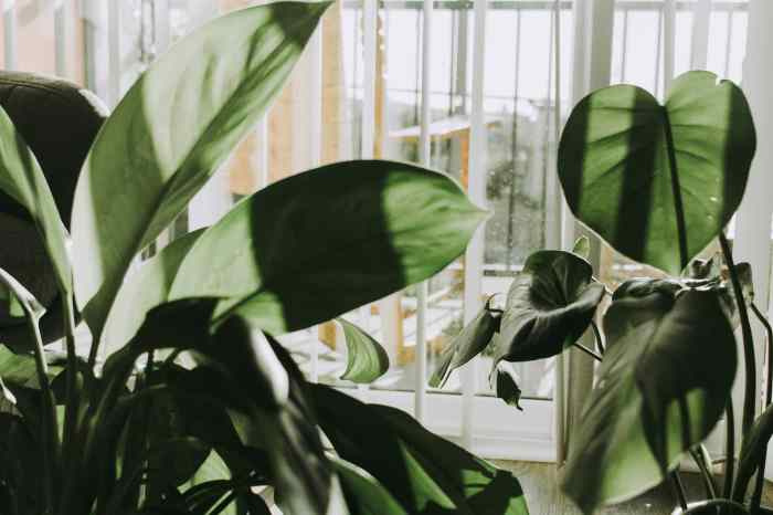 16 Eco-Friendly Home Decor Brands You Should Know | Barbulianno Design 16 Eco-Friendly Home Decor Brands You Should Know | Barbulianno Design
